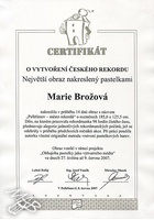 český rekord: největší obraz nakreslený pastelkami, 2007
